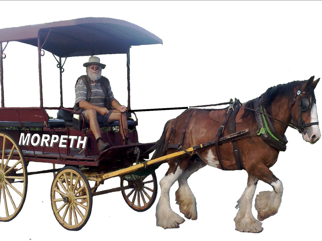 Morpeth Horse Carriage景点图片
