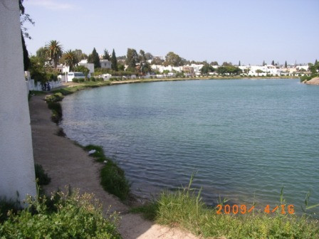 Punic Ports & Museum-迦太基必去景点