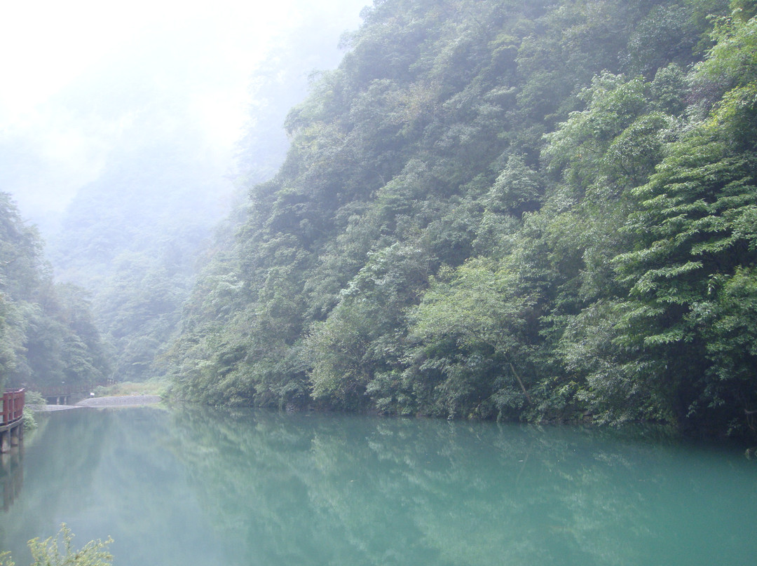 金佛山景点图片