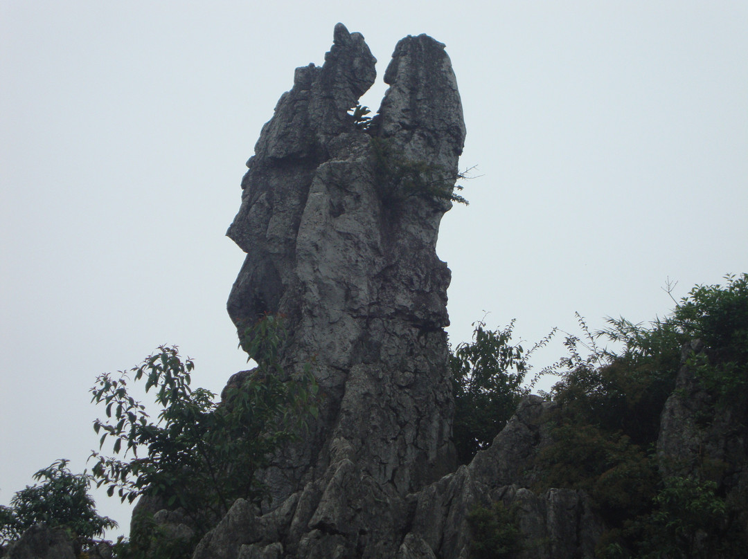 重庆华蓥山景点图片