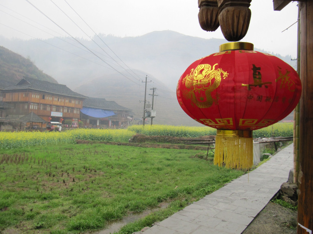 吾不知其名主图