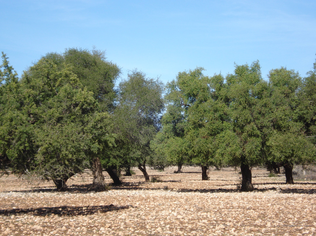 Ecotourisme et Randonnées