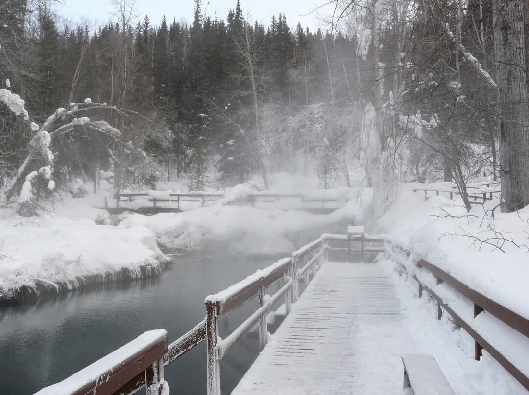 Liard River Hot Springs Provincial Park-不列颠哥伦比亚省必去景点