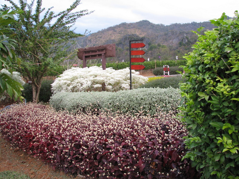 GranMonte Vineyard景点图片
