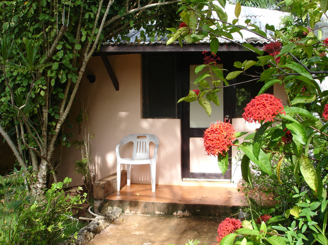 Hotel El Marinique主图