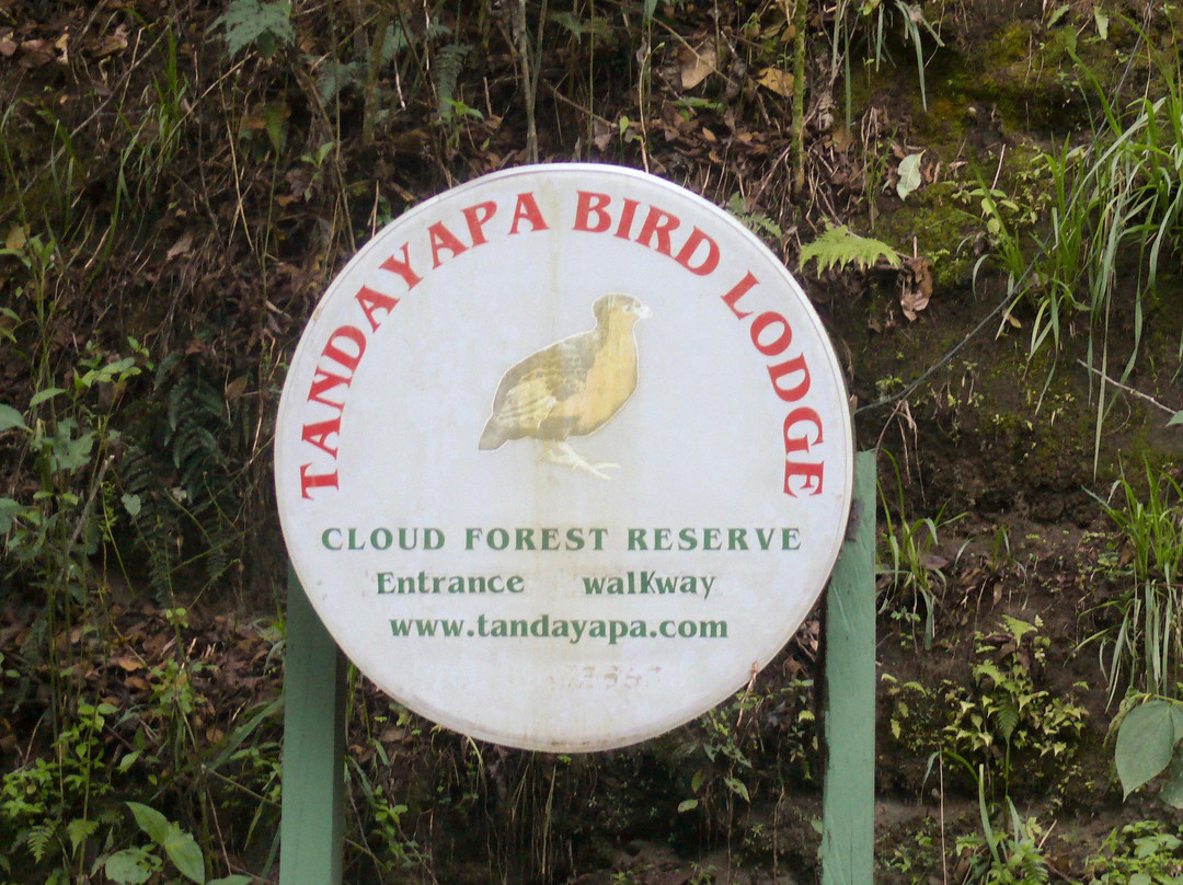 Tandayapa Bird Lodge