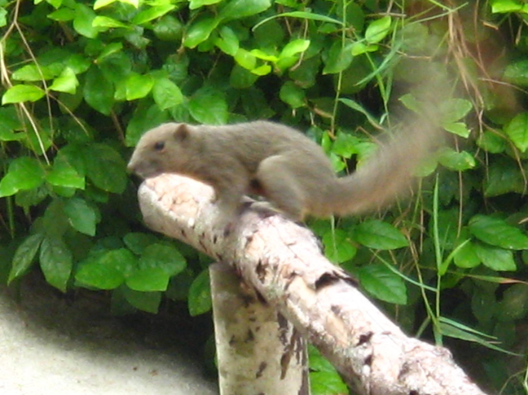 Mozana Redang Resort主图