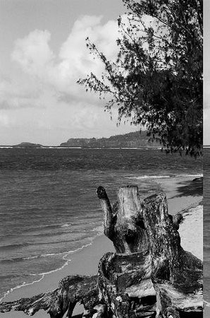 阿尼尼海滩-可爱岛必去景点