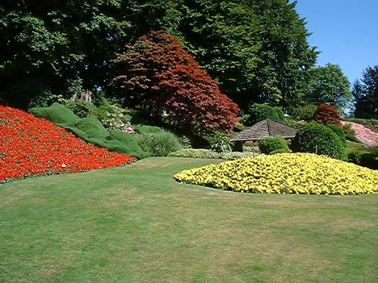 Peace Arch State Park景点图片