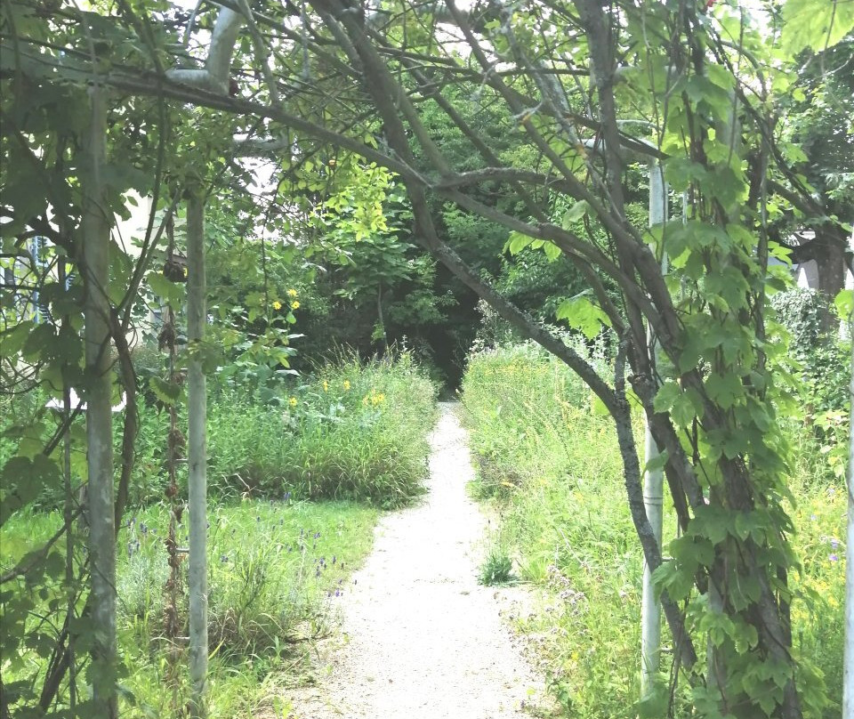 Heilkräutergarten Kloster Adelberg
