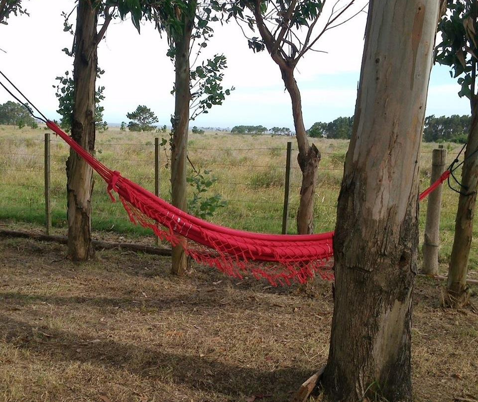 Hostel Don Rico