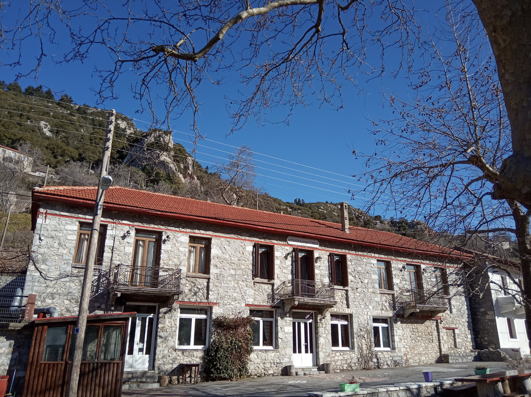 Chrysovitsi餐馆和美食-Taverna Platanos