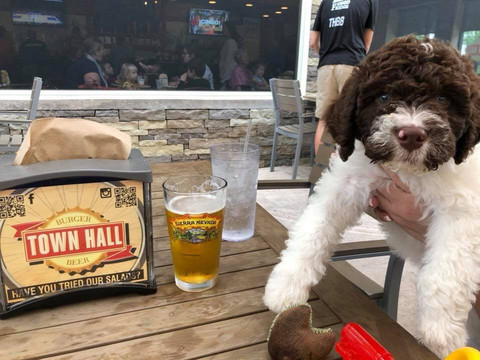 Town Hall Burger & Beer