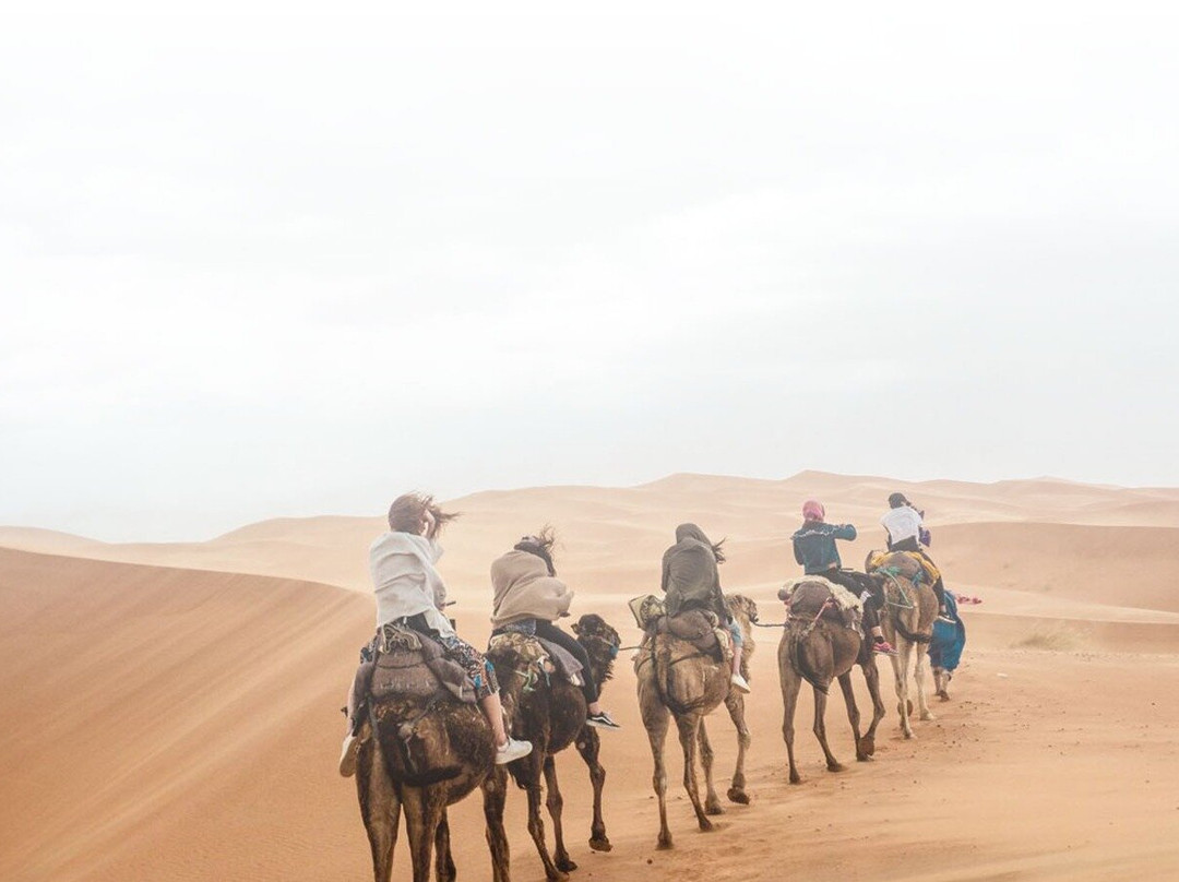 Travel Link Morocco景点图片