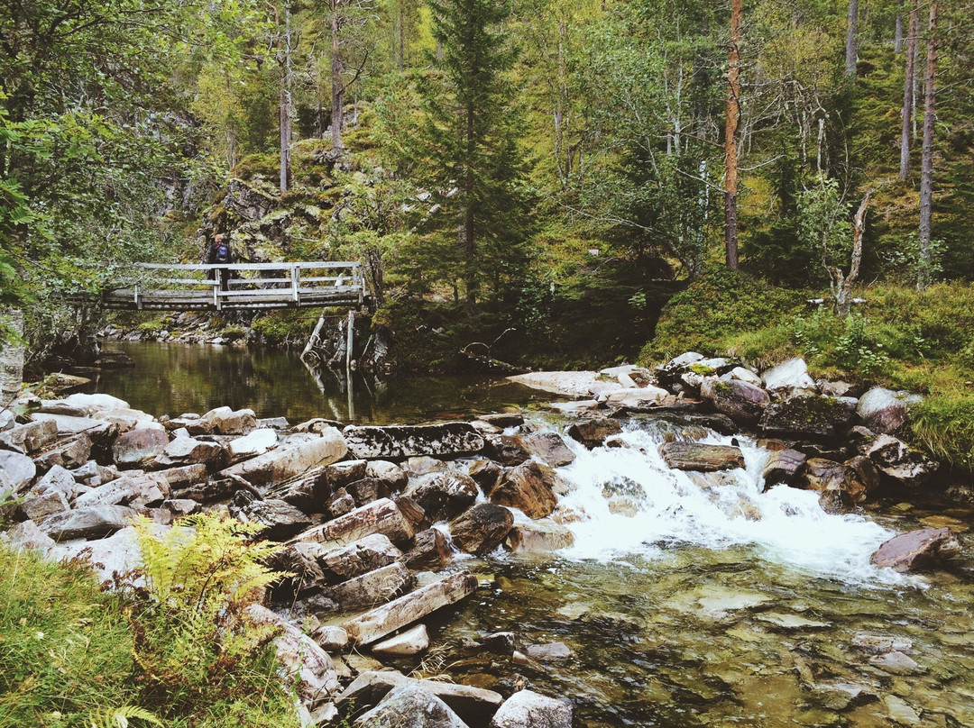 Todalshytta - Mountain Lodge