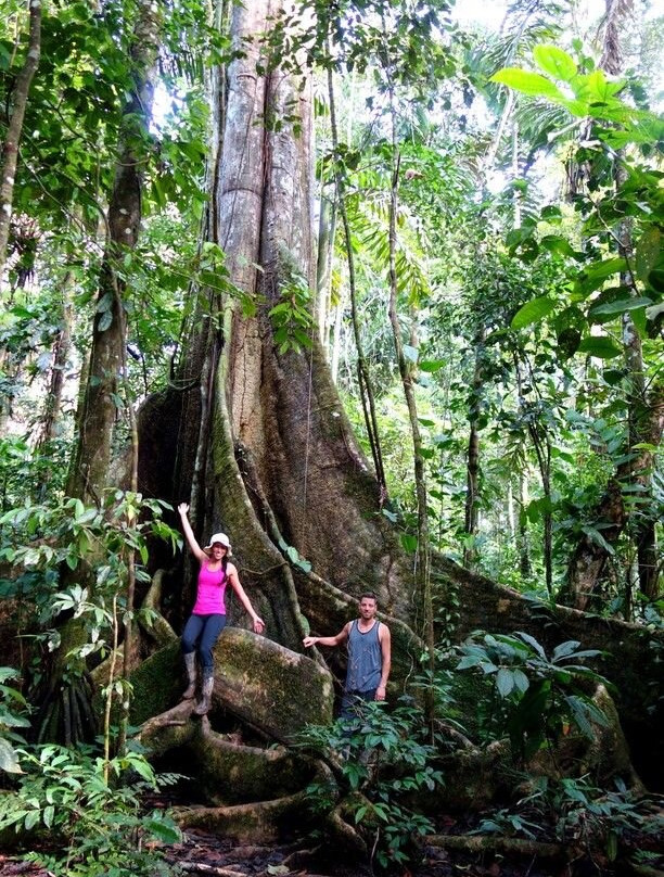 Ujung Kulon Ecotourism-Ujungjaya必去景点