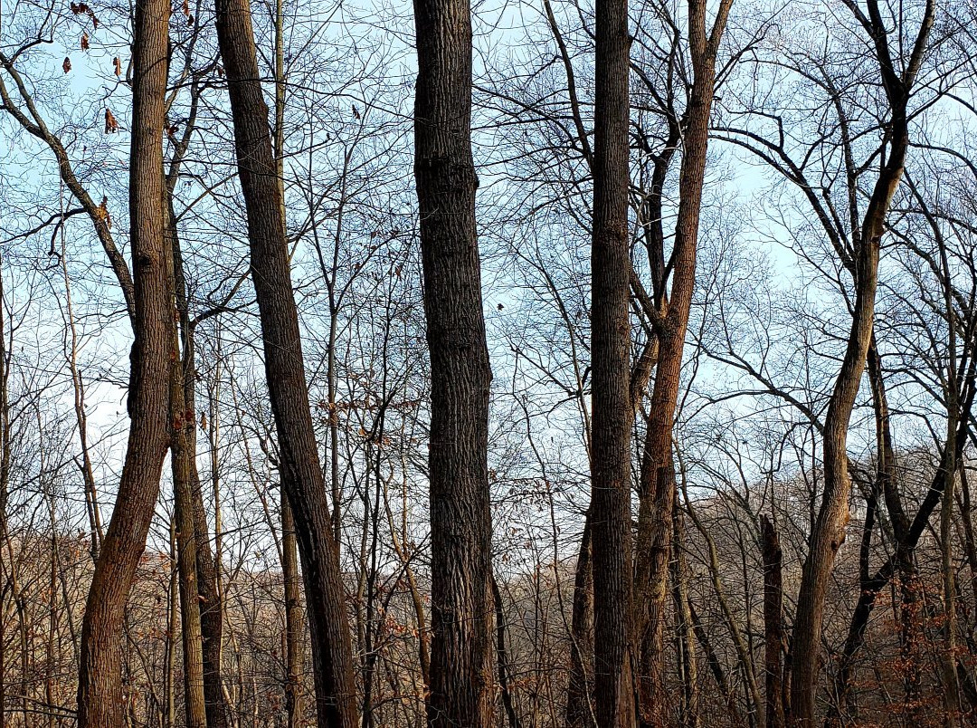Palmer State Park-Street必去景点