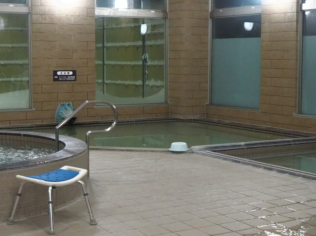 Sun Flower Park Hokuryu Onsen-北龙町必去景点