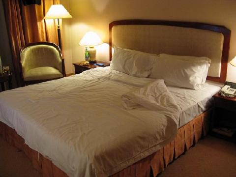 中山大酒店-客卧