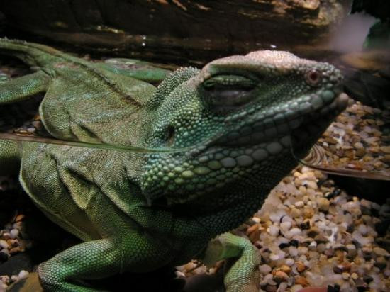 上海海洋水族馆-上海市必去景点