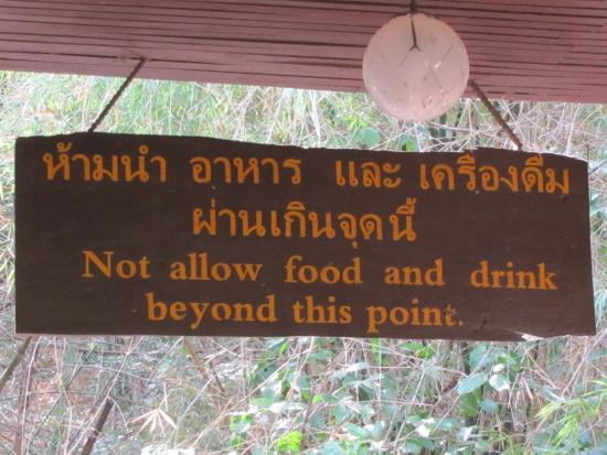 Tree Top Adventure Park Kanchanaburi-柿约必去景点