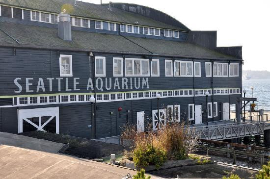 西雅图水族馆-西雅图必去景点
