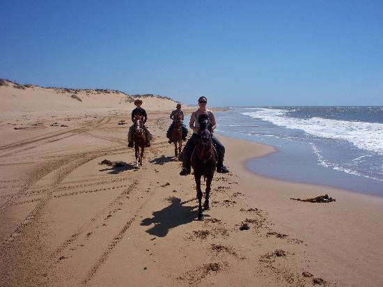 Zouina Cheval-索维拉必去景点