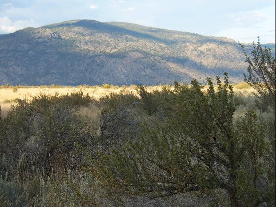 Osoyoos Desert Centre景点图片