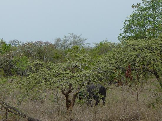 Akagera National Park-Eastern Province必去景点
