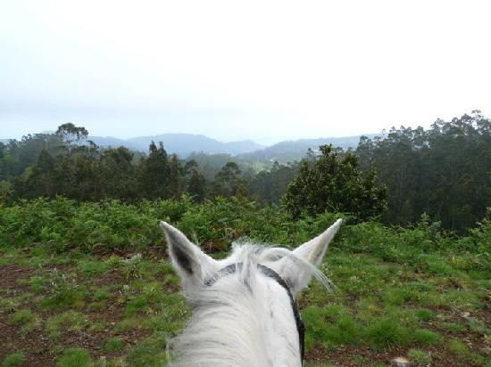 Equine Village by Quinta do Riacho-Santo da Serra必去景点