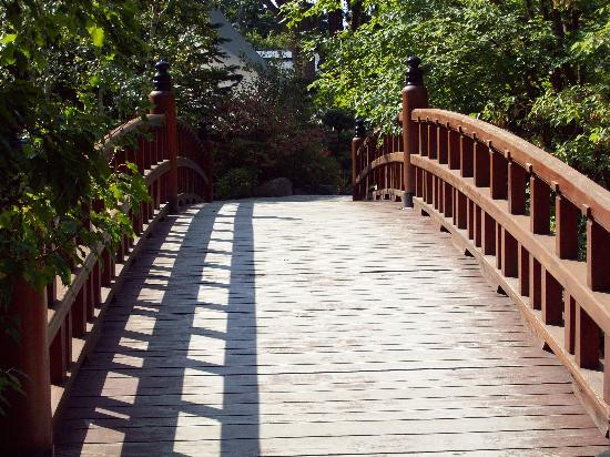 Anderson Japanese Gardens-罗克福德必去景点