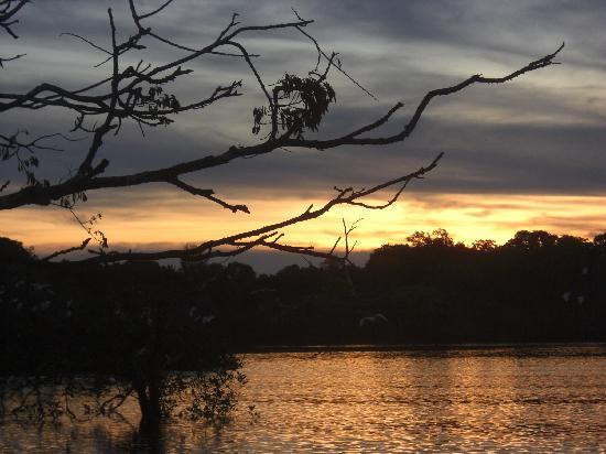 Amazon Brasil Jungle Tours-玛瑙斯必去景点