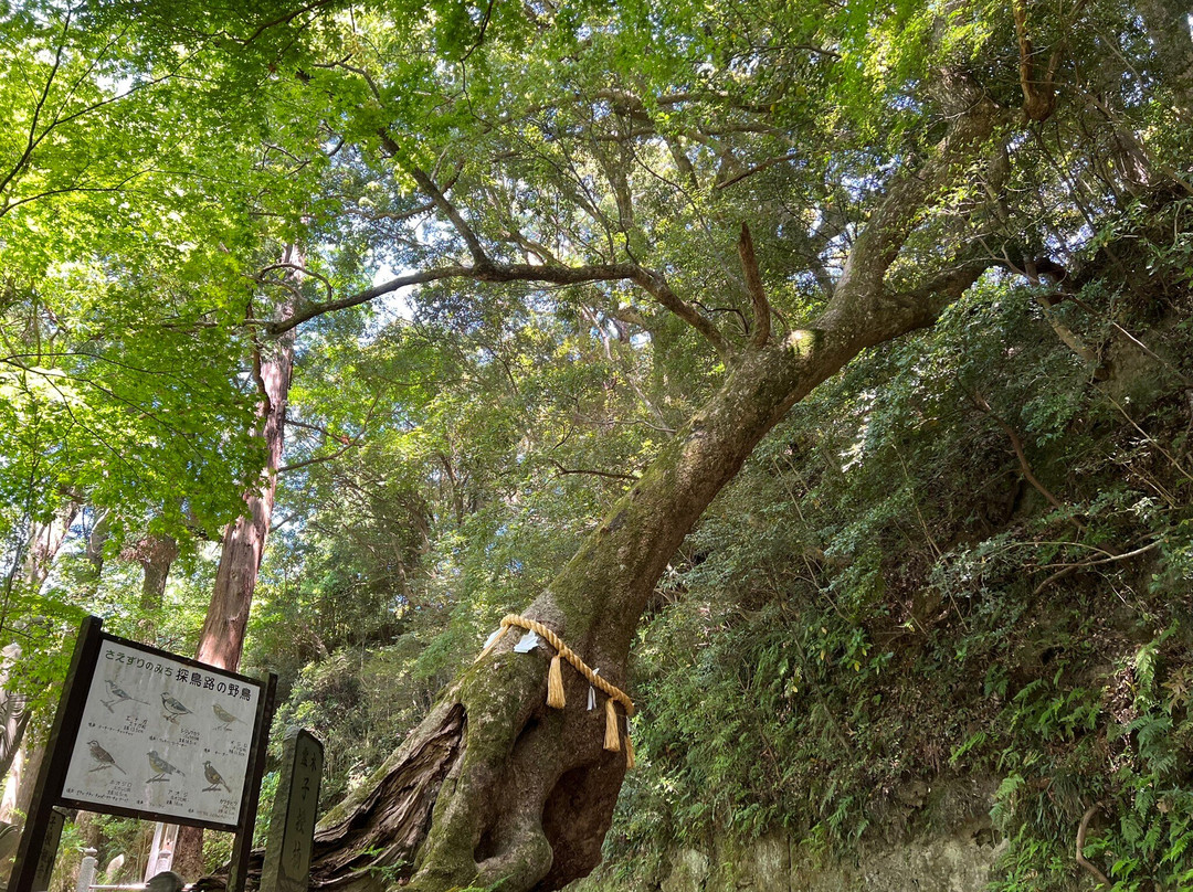 Kasamori-ji Temple-长南町必去景点