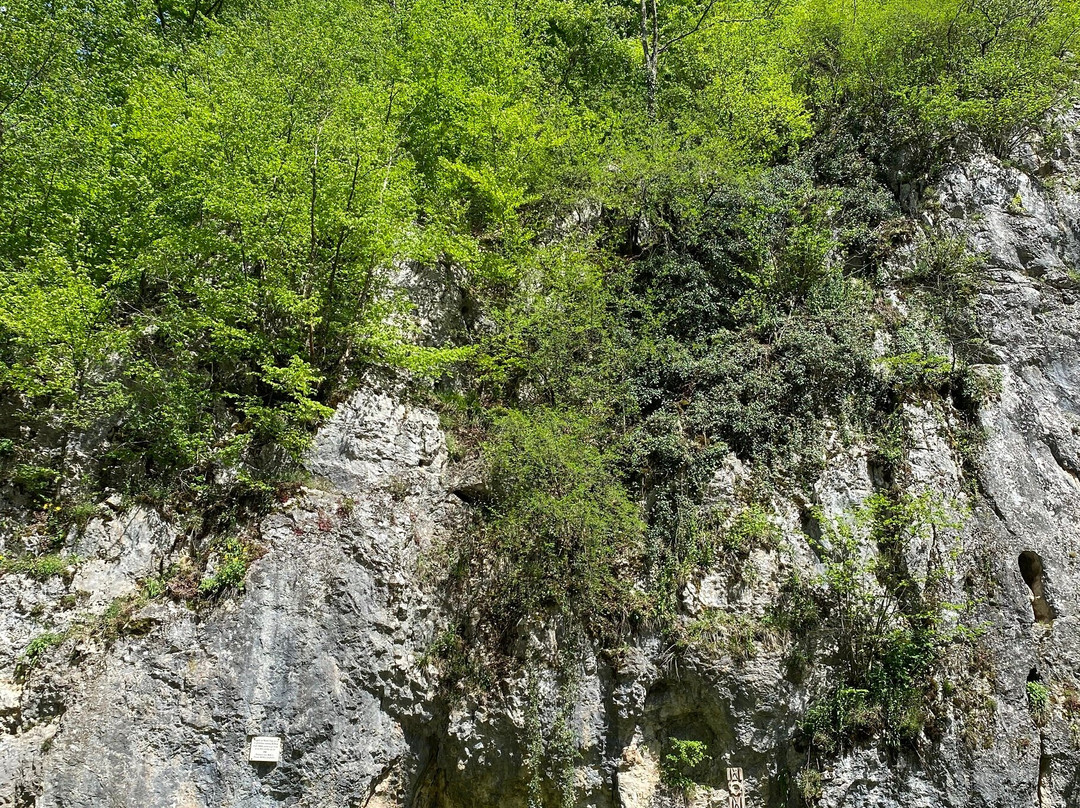 Albioara Gorge景点图片
