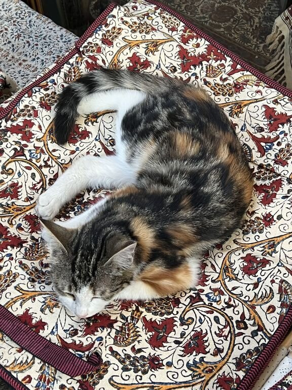 Moghadam Carpet Gallery景点图片