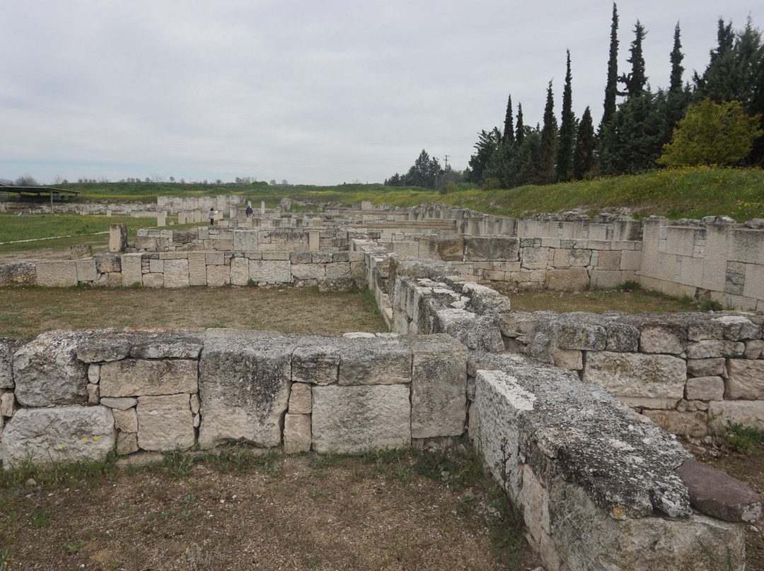 Archaeological Site at Pella-Pella必去景点