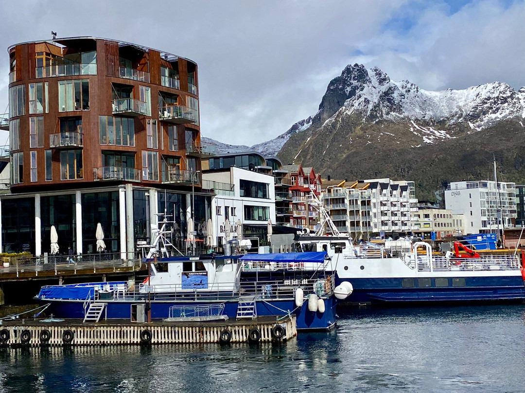 Trollfjord Cruise & Sea Eagle Safari景点图片