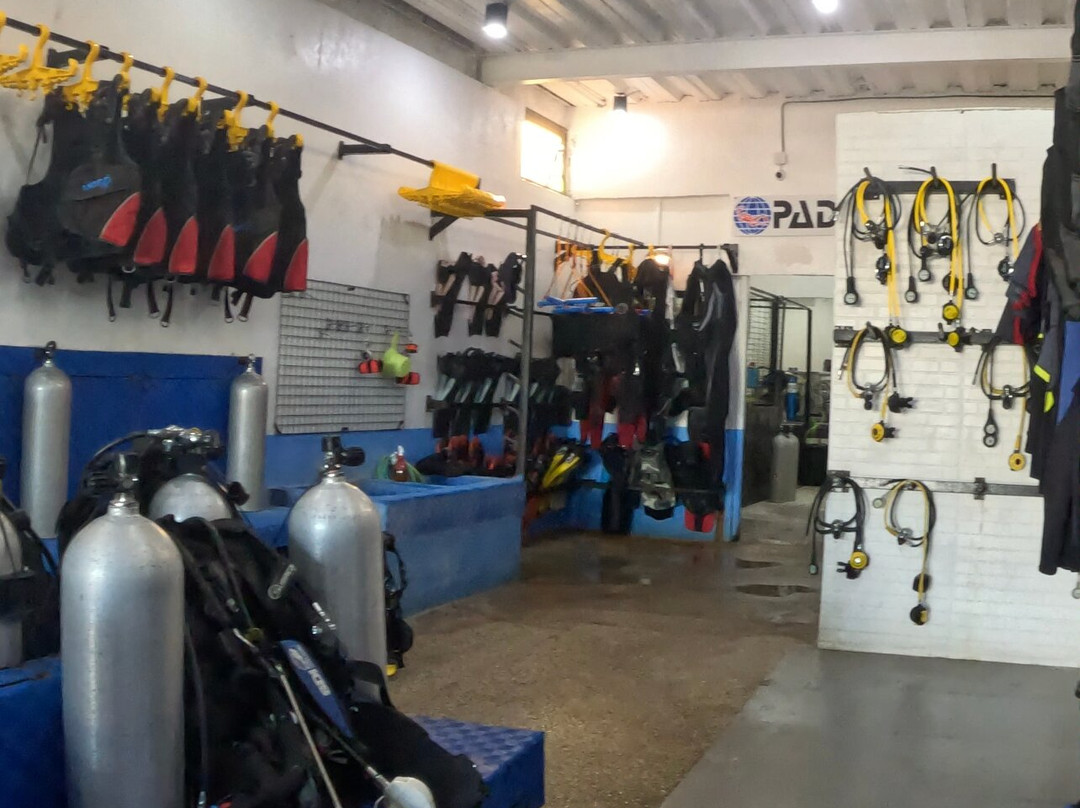 Amigos Dive Centre景点图片