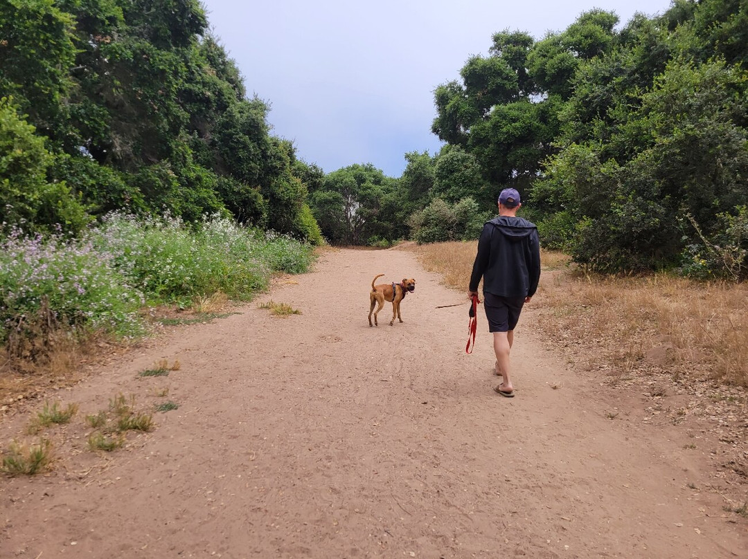 Douglas Family Preserve-圣巴巴拉必去景点