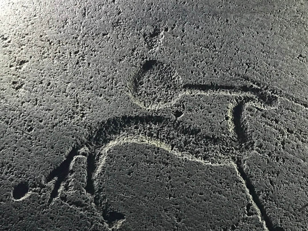 Tanums Hällristningsmuseum Underslös景点图片