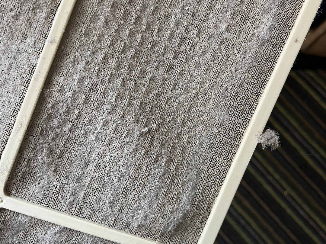 Quality Inn Murray University Area主图