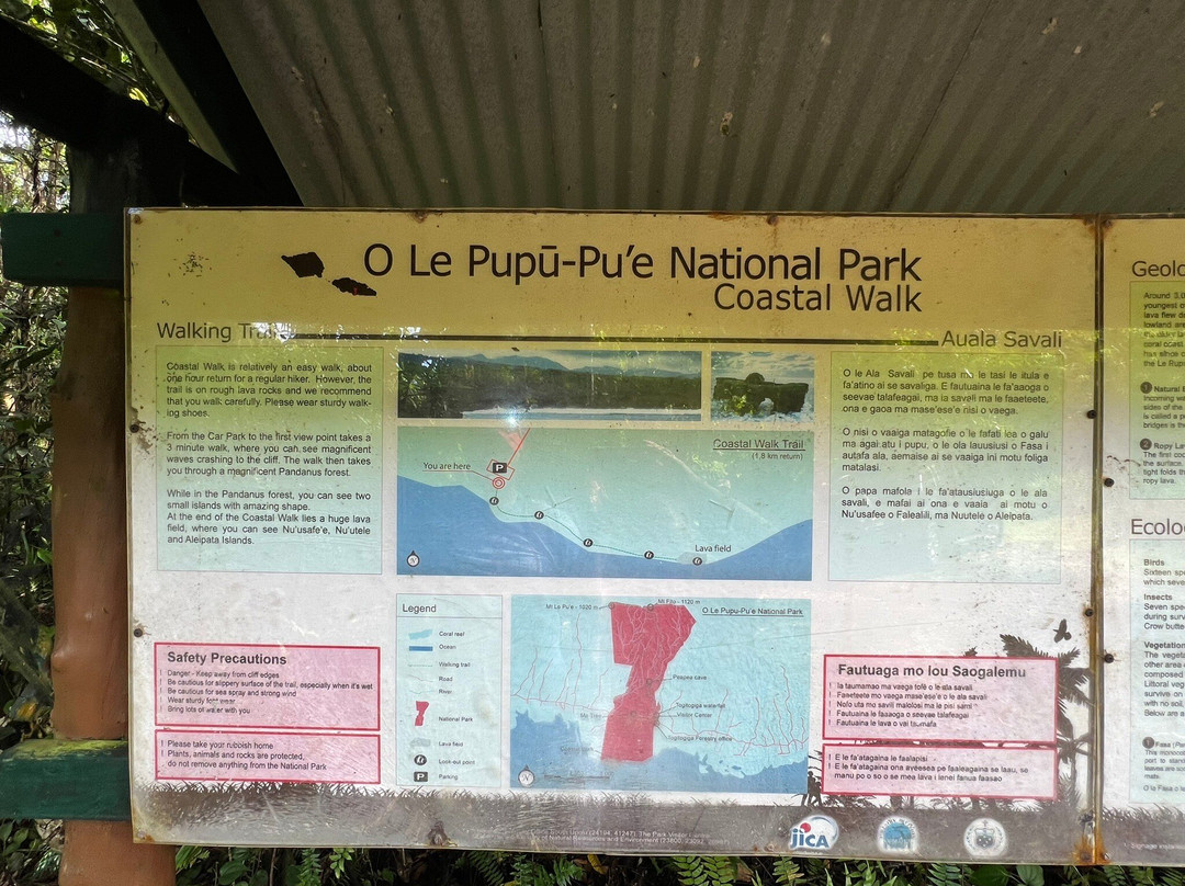 Coastal Lava Cliff Walk-Upolu必去景点