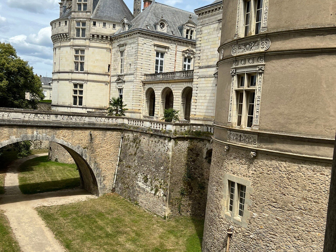 Chateau du Lude景点图片