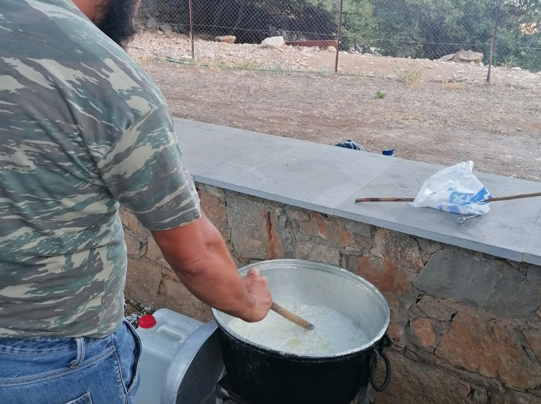 Fourni Horses-Fourni必去景点