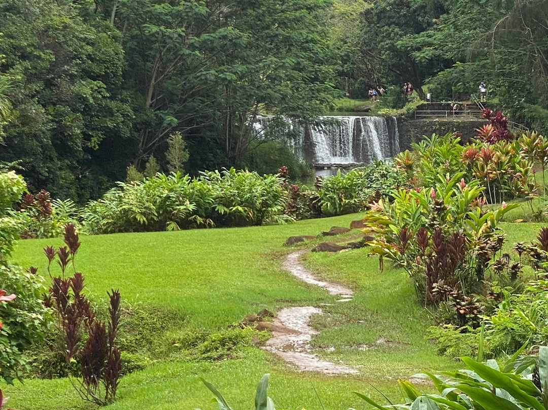 Wai Koa Loop-基拉韦厄必去景点