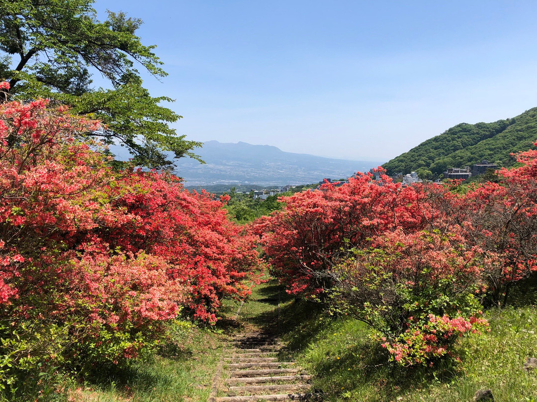 Nagamine Park景点图片