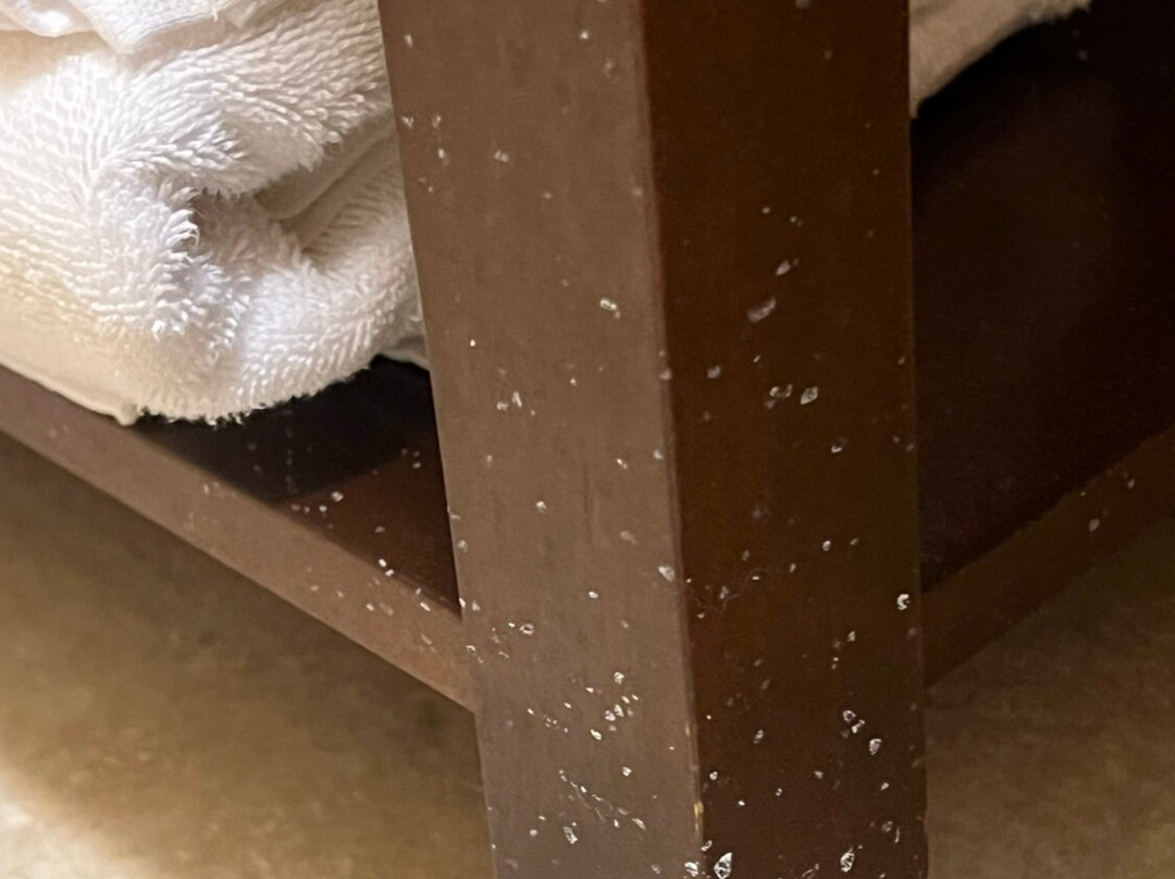 Comfort Suites Airport South主图