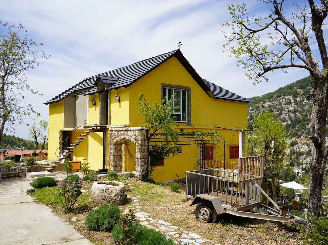 North Governorate旅游景点-Les Caves D’Éden