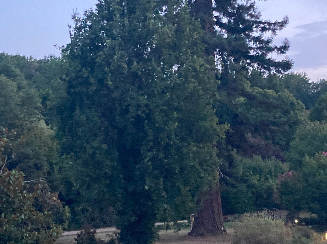 马诺尔德贝勒丽芙酒店主图