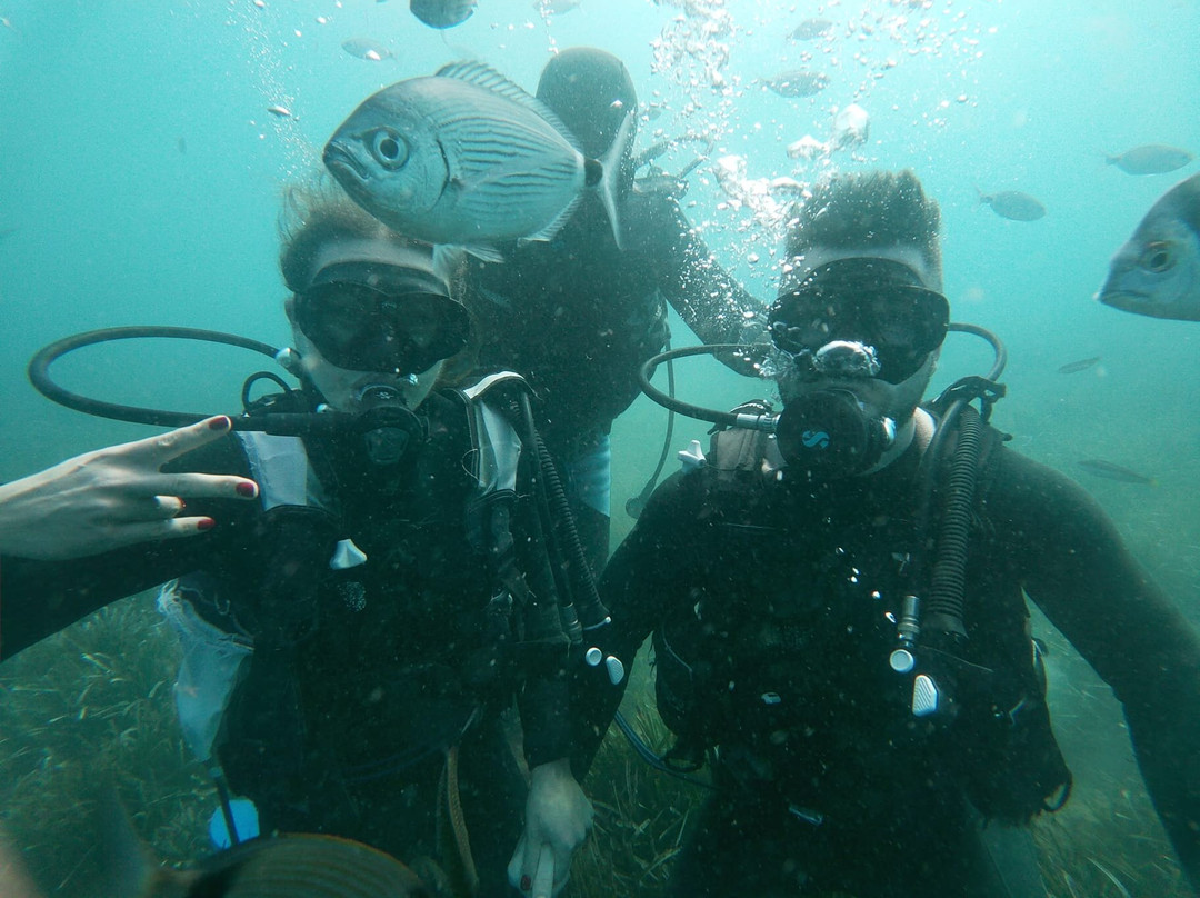 Port El Kantaoui Diving景点图片